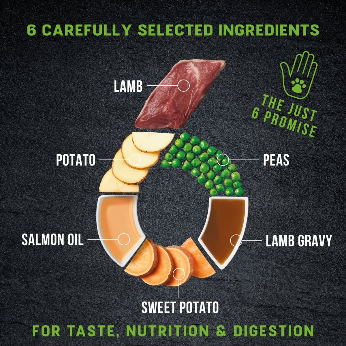 Lamb & Berries-Puppy 